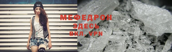 индика Медвежьегорск