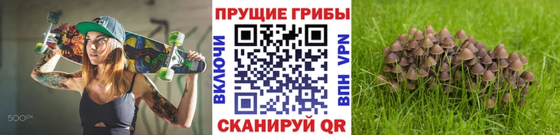 kraken ТОР  как найти наркотики  Южно-Сахалинск  Галлюциногенные грибы Psilocybine cubensis 